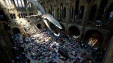 The report comes as climate demonstrations continue across the UK. Image: Extinction Rebellion